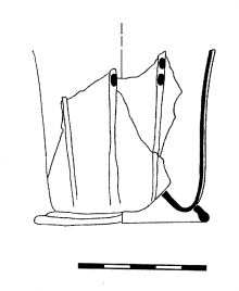 img0558.gif